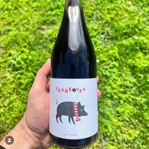 Frankovka - Matic Wines - matija-zerjav -2022