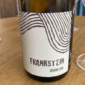 Frankstein - Léo Dirringer - leo-dirringer -2020
