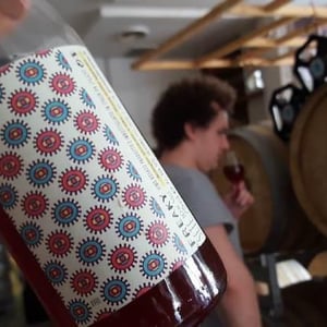 Sete - Vini Naturali - Emiliano Giorgi, Arcangelo Galuppi, Martina D’Alessio - Freaky
