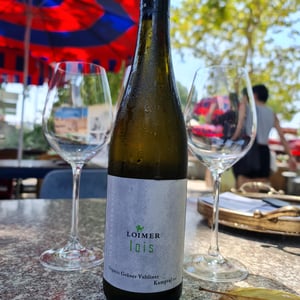 Fred Loimer Gruner Vettiner Lois - Weingut Fred Loimer - Fred Loimer 