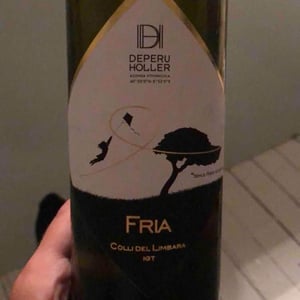 Fria - Deperu Holler - Carlo Deperu & Tatiana Holler -2018