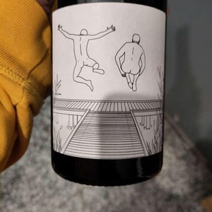 Freisprung Grüner Veltliner - RauSchnitt Weine - Michael Nittnaus & Mathias Rauscher -2020