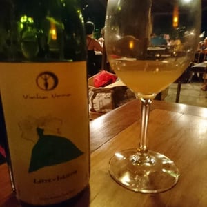 Livre Arbítrio - Vinha Unna - marina-santos