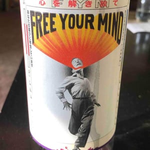 Free Your Mind - Wonderwerk Co. - issamu-kamide-and-andrew-lardy