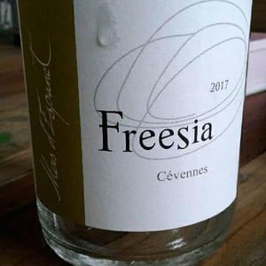 Freesia 2017