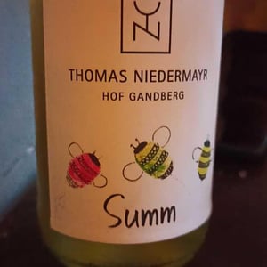 Freistil - Thomas Niedermayr – Hof Gandberg - Thomas Niedermayr -2021