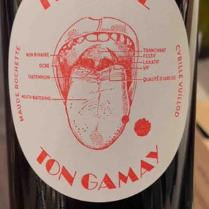 Frenche Ton Gamay - Dernière Goutte - cyrille-vuillod -2023