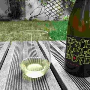 French Wine's Not Dead (white) - La Sorga - antony-tortul