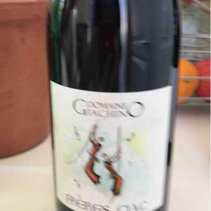 Domaine Giachino - Frédéric, David & Clément Giachino - Frères Giac