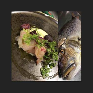 Fresh Fish - La Part des Anges - 480114