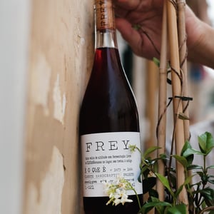 É O QUE É 018 - Vinhos Frey - pedro-frey