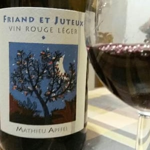 Friand Et Juteux - Mathieu Apffel - camille-mathieu-apffel
