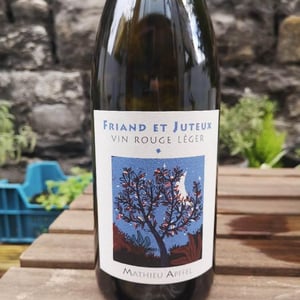 Friand Et Juteux - Mathieu Apffel - camille-mathieu-apffel