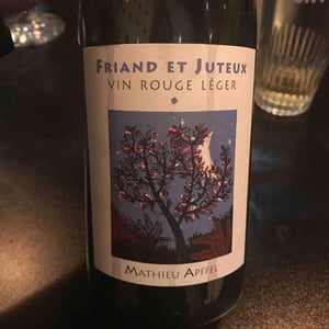 Friand Et Juteux - Mathieu Apffel - Camille & Mathieu Apffel 