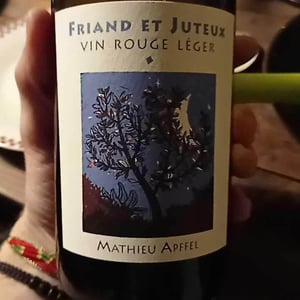 Mathieu Apffel - Camille & Mathieu Apffel - Friand Et Juteux