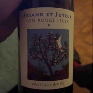 Friand Et Juteux - Mathieu Apffel - Camille & Mathieu Apffel 