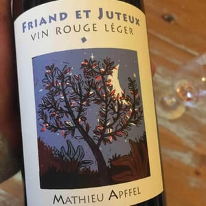 Friand Et Juteux - Mathieu Apffel - camille-mathieu-apffel
