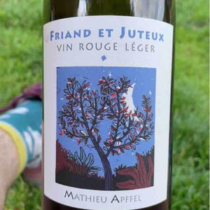 Friand Et Juteux - Mathieu Apffel - camille-mathieu-apffel