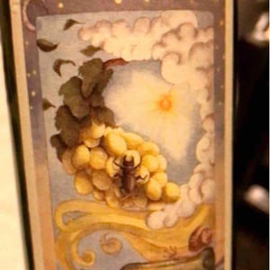 Fricandò - Cantina Al di là del Fiume - danila-mongardi-gabriele-monti