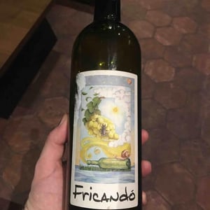 Cantina Al di là del Fiume - Danila Mongardi & Gabriele Monti - Fricandò