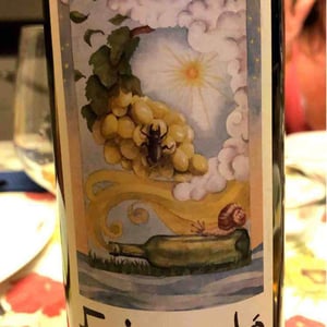 Fricandò - Cantina Al di là del Fiume - danila-mongardi-gabriele-monti
