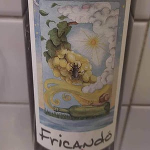 Cantina Al di là del Fiume - Danila Mongardi & Gabriele Monti - Fricandò