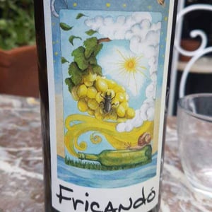 Cantina Al di là del Fiume - Danila Mongardi & Gabriele Monti - Fricandò