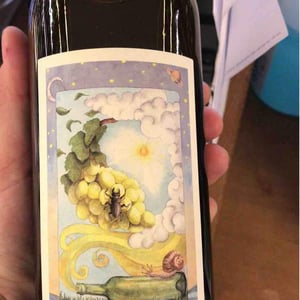 Fricandò - Cantina Al di là del Fiume - danila-mongardi-gabriele-monti