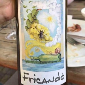 Cantina Al di là del Fiume - Danila Mongardi & Gabriele Monti - Fricandò