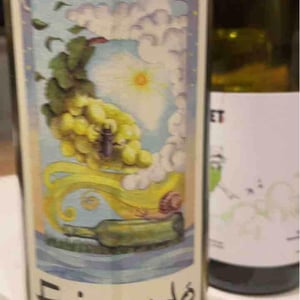 Fricandò - Cantina Al di là del Fiume - danila-mongardi-gabriele-monti