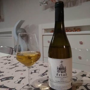 Fricò - Tomassetti - Matteo & Andrea Tomassetti 