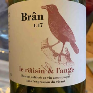 Brân L-17