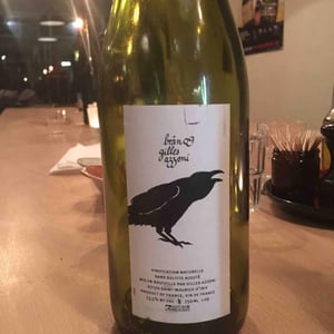 Frigoula - Le Raisin et l'Ange - gilles-antonin-azzoni