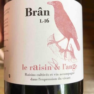 Le Raisin et l'Ange - Gilles & Antonin Azzoni - Frigoula
