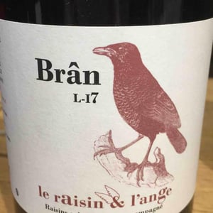 Le Raisin et l'Ange - Gilles & Antonin Azzoni - Frigoula