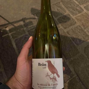 Brân 2017