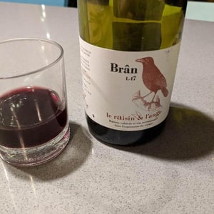 Frigoula - Le Raisin et l'Ange - gilles-antonin-azzoni
