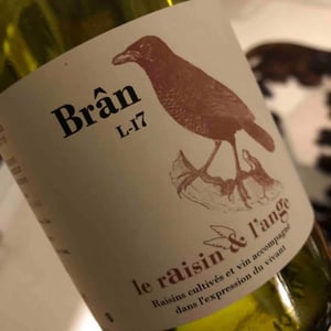 Le Raisin et l'Ange - Gilles & Antonin Azzoni - Frigoula