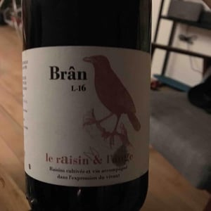Frigoula - Le Raisin et l'Ange - gilles-antonin-azzoni