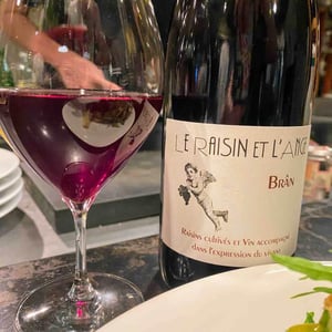 Frigoula - Le Raisin et l'Ange - Gilles & Antonin Azzoni 