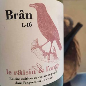 Brân