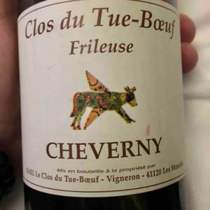 Frileuse - Clos du Tue-Bœuf - zoe-louise-thierry-puzelat