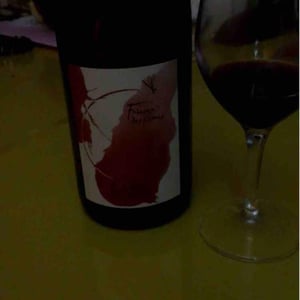 Frisson Des Cimes 18