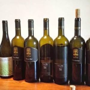 Friulano Giallo Di Tocai
