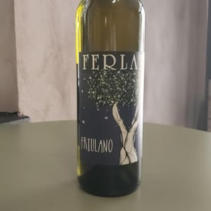 Friulano - Società Agricola Silvano Ferlat - moreno-ferlat -2020