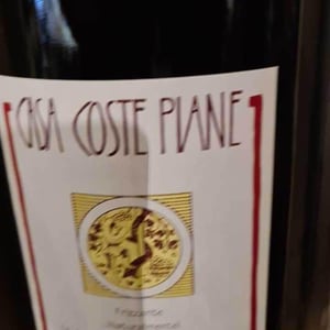 Casa Coste Piane - Loris Follador - Frizzante ...Naturalmente