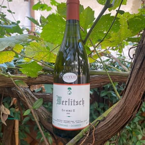 Ex Vero III - Weingut Werlitsch - ewald-brigitte-tscheppe