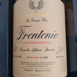 Frontonio La Loma & Los Santos - Bodegas Frontonio - fernando-mora -2018