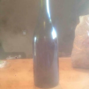 Gelus - Domaine Saurigny - Jérôme Saurigny 