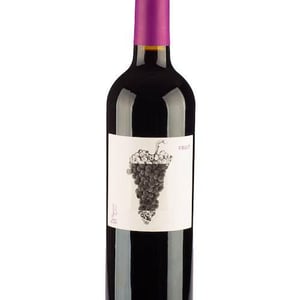 Fruit - Le Jonc Blanc - isabelle-carles-franck-pascal